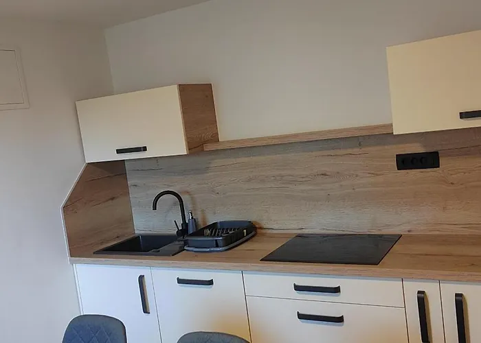 Maxlux Appartamento Slovenj Gradec